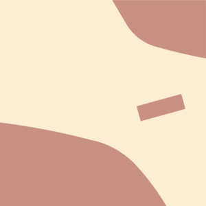 Minke - Módulo 1