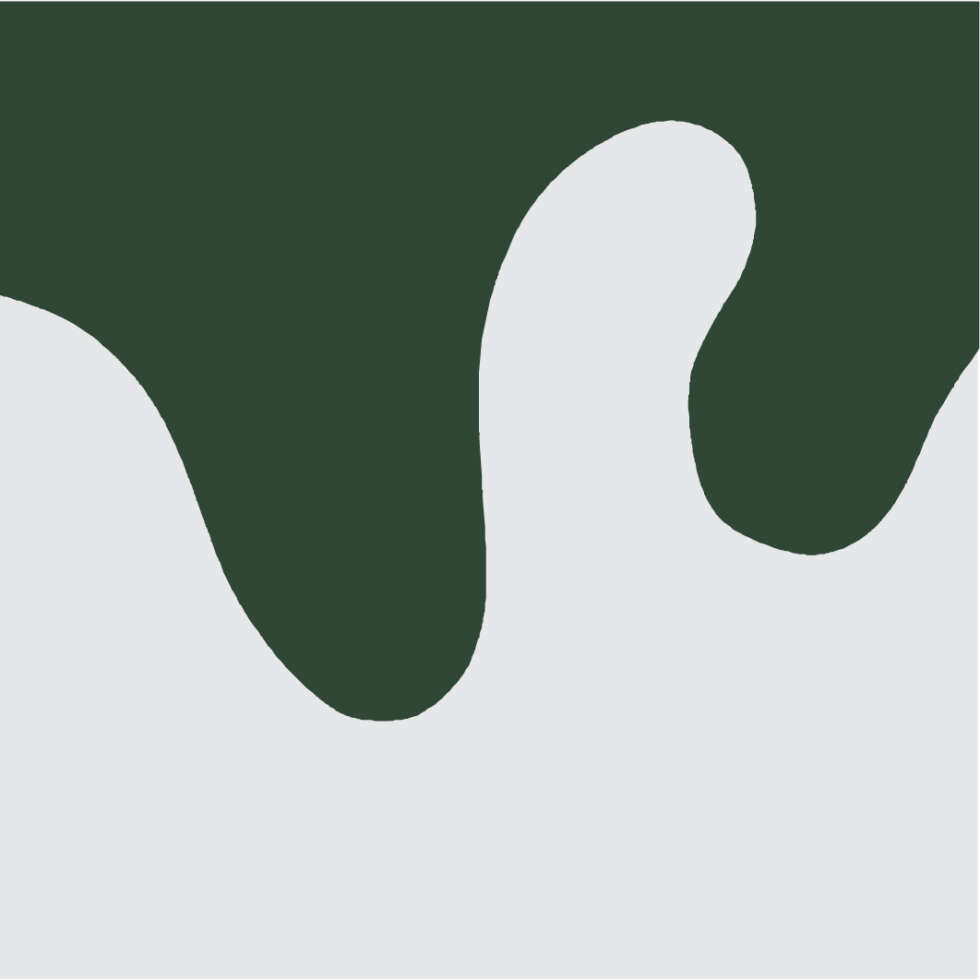 Ana Sawaia – Burle Marx2