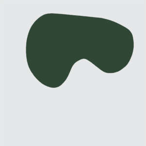 Ana Sawaia - Burle Marx3