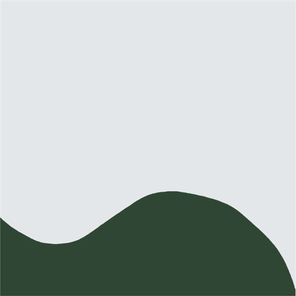 Ana Sawaia – Burle Marx5