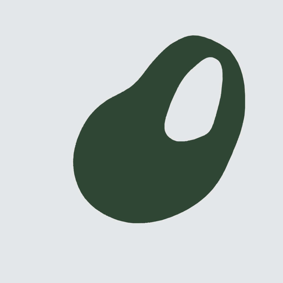 Ana Sawaia – Burle Marx6