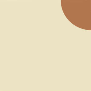Laura Gorski - Viés 4