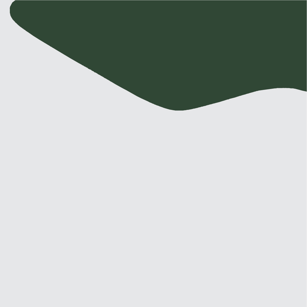 Ana Sawaia - Ladrilho Burle Marx 1