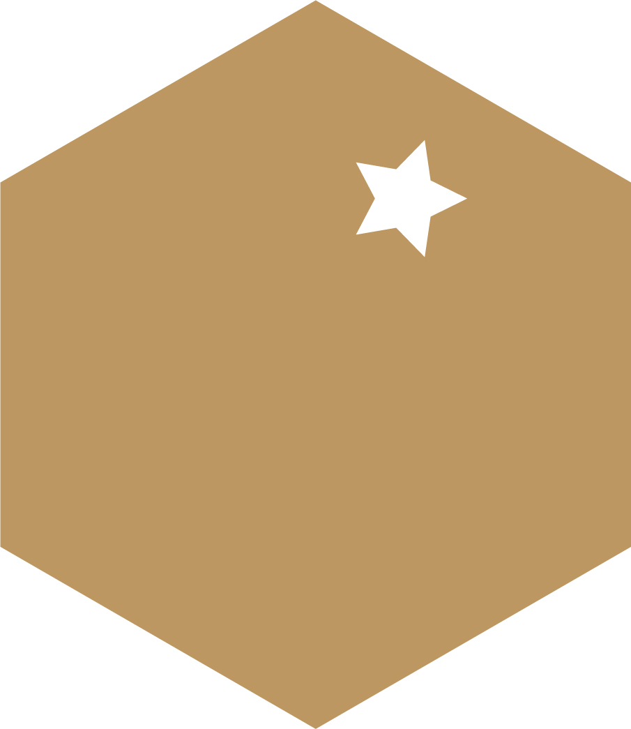 Jade Marangolo - Hexagonal Estrela 2