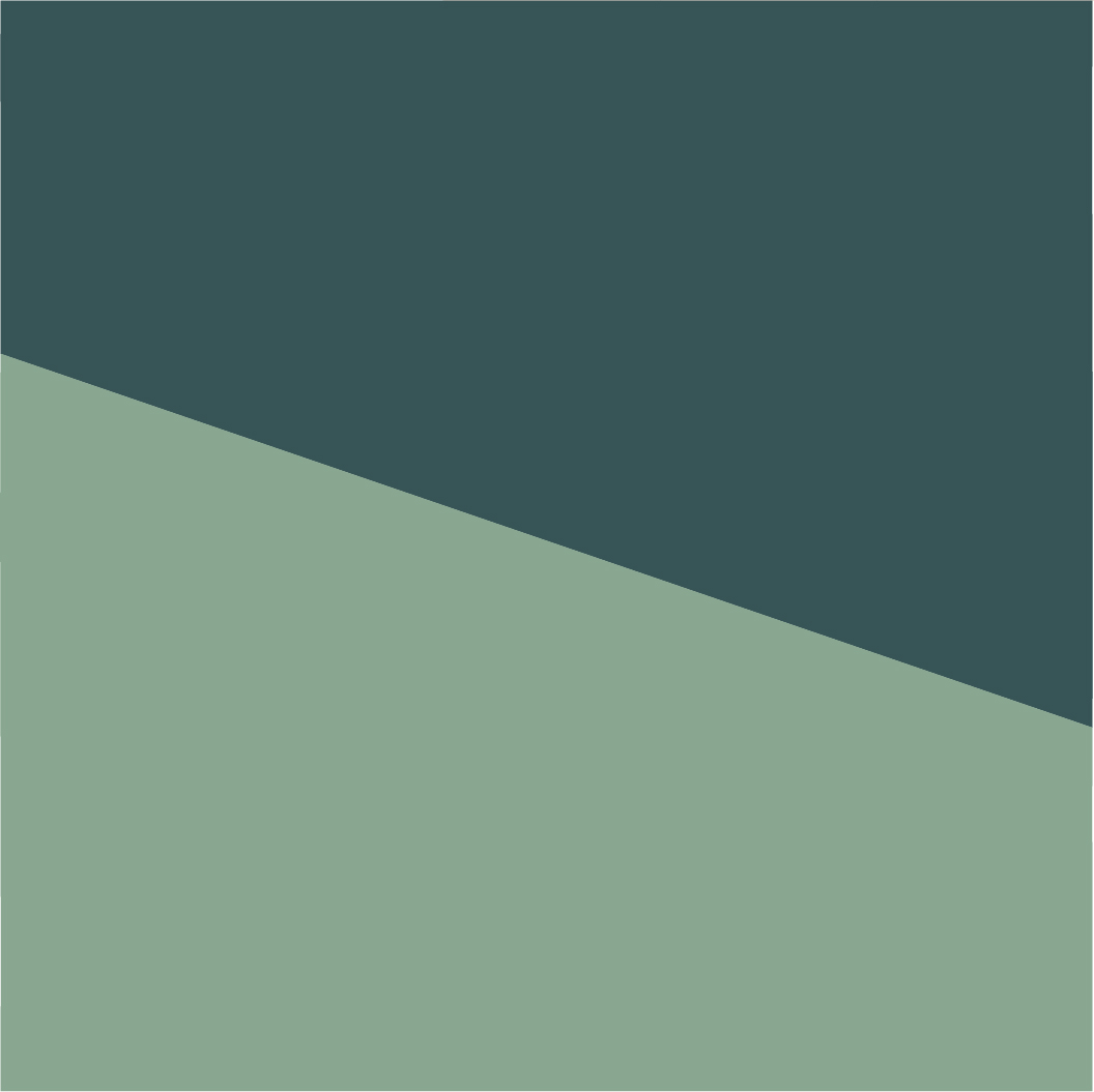 Laura Gorski - Vies 3