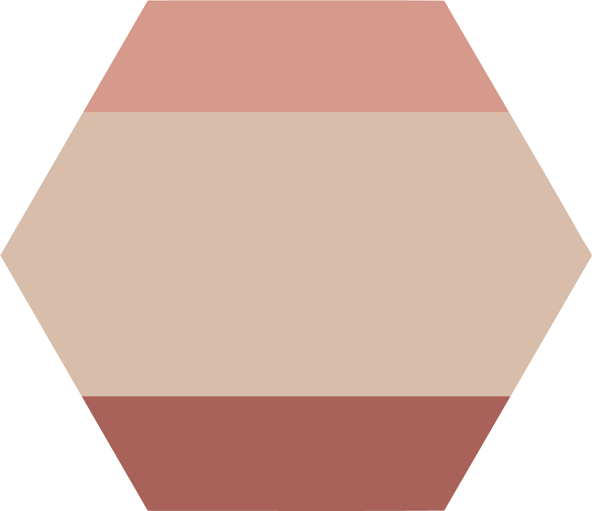 Renata Gaia - Hexagonal Calha
